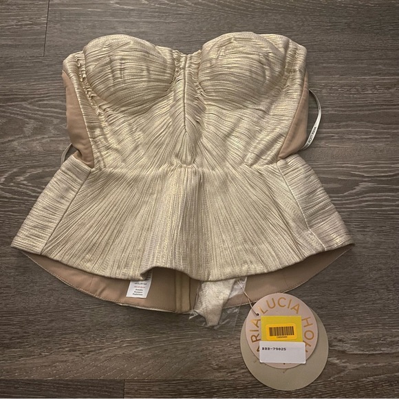 REVOLVE Tops - NWT MARIA LUCIA HOHAN Moonlight Malawi Silk Plisse Bustier.